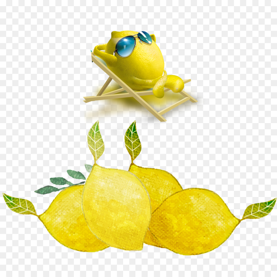 Limonata, succo di Limone Giallo - Il sole di limone
