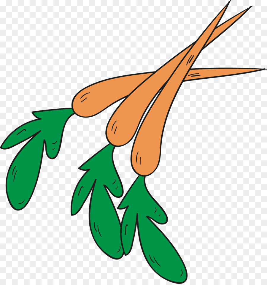 Bio-Lebensmittel - Die grünen Blätter auf die Karotte