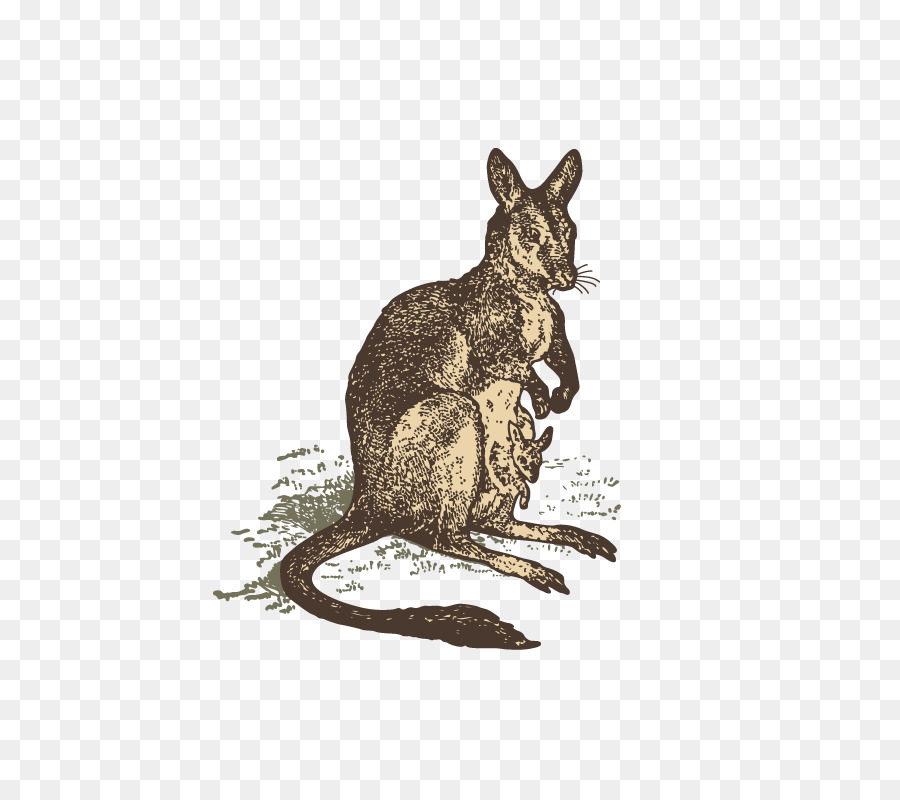 Heimische Kaninchen-Känguru-Tier-Zeichnung - Hand-bemalt Känguru
