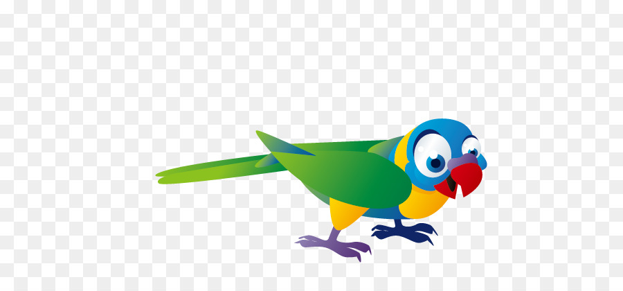 Uccello Pappagallo - uccelli