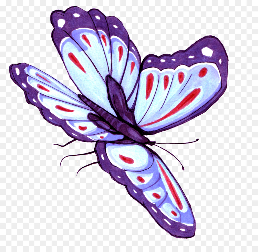 Farfalla Viola Viola - Dipinto a mano viola farfalla