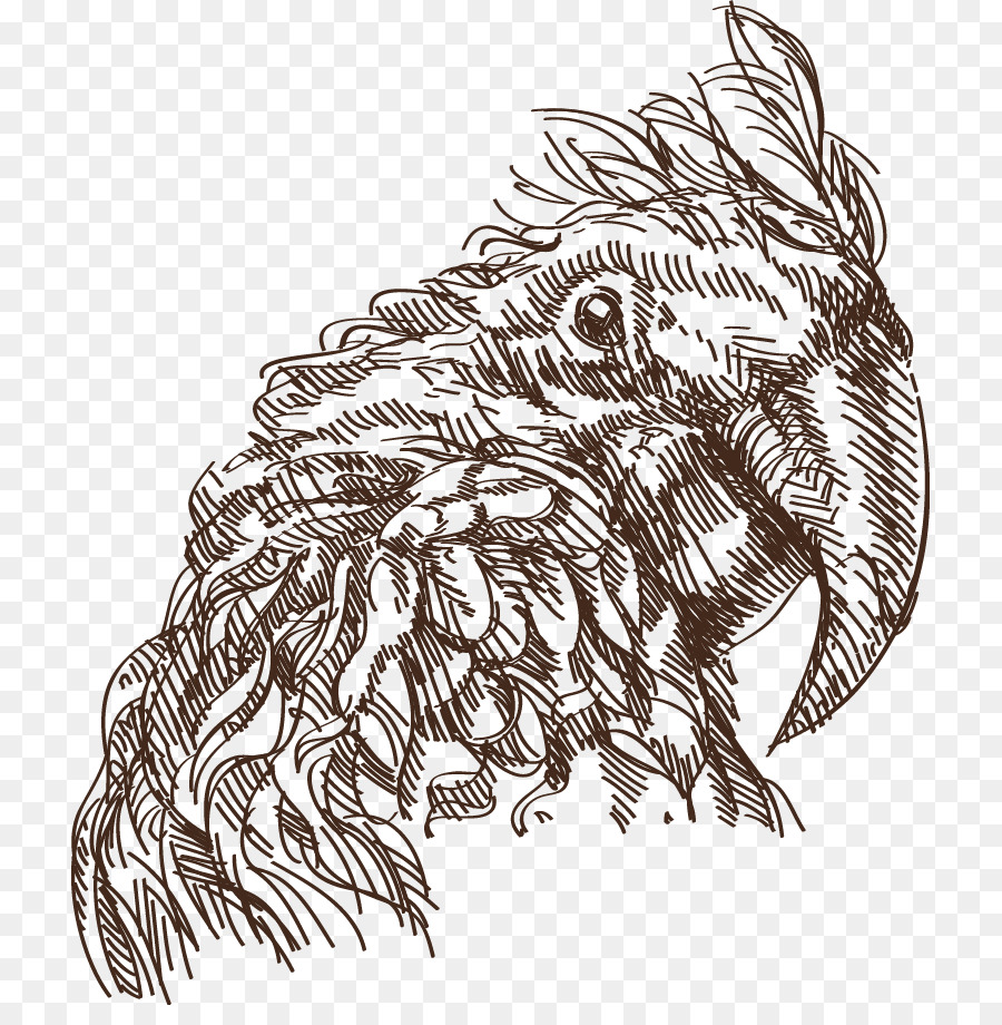 Parrot Illustration - Handbemalte Adler