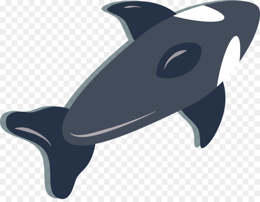 Chilenische Delfin clipart - Blue Dolphin vector