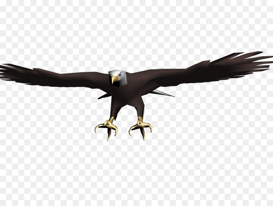 Eagle Black Hawk - Adler