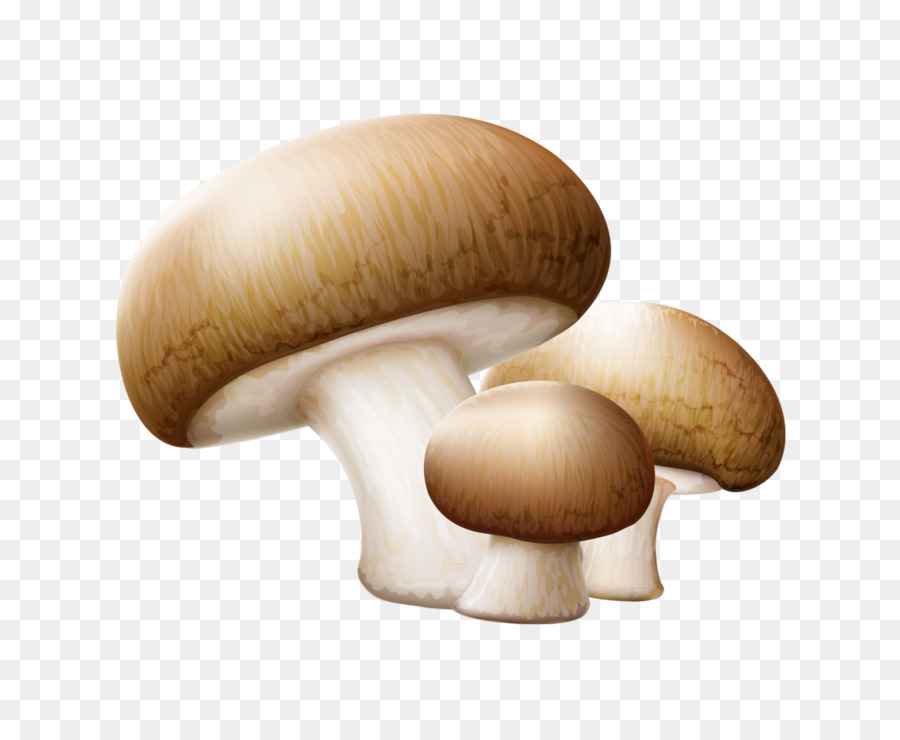 Gemeinsame Pilz, Essbarer Pilz, Clip-art - Drei Pilze