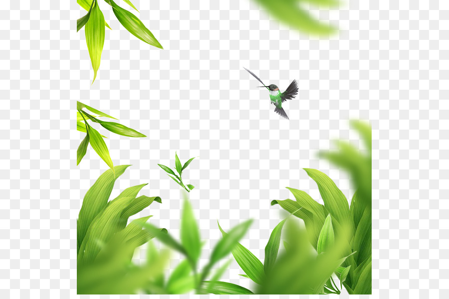 Vogel-Leaf Green - Blatt,Blätter