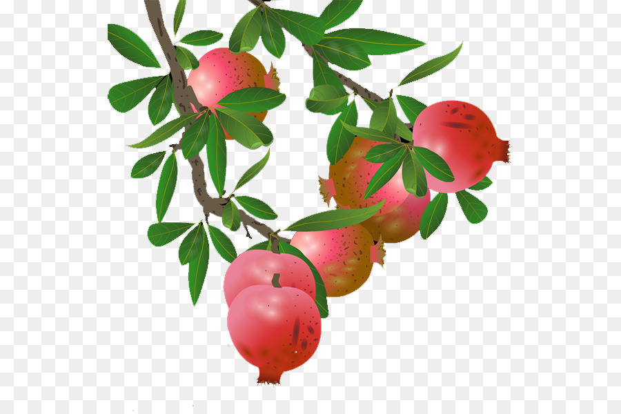 Melograno Lingonberry Apple - melograno