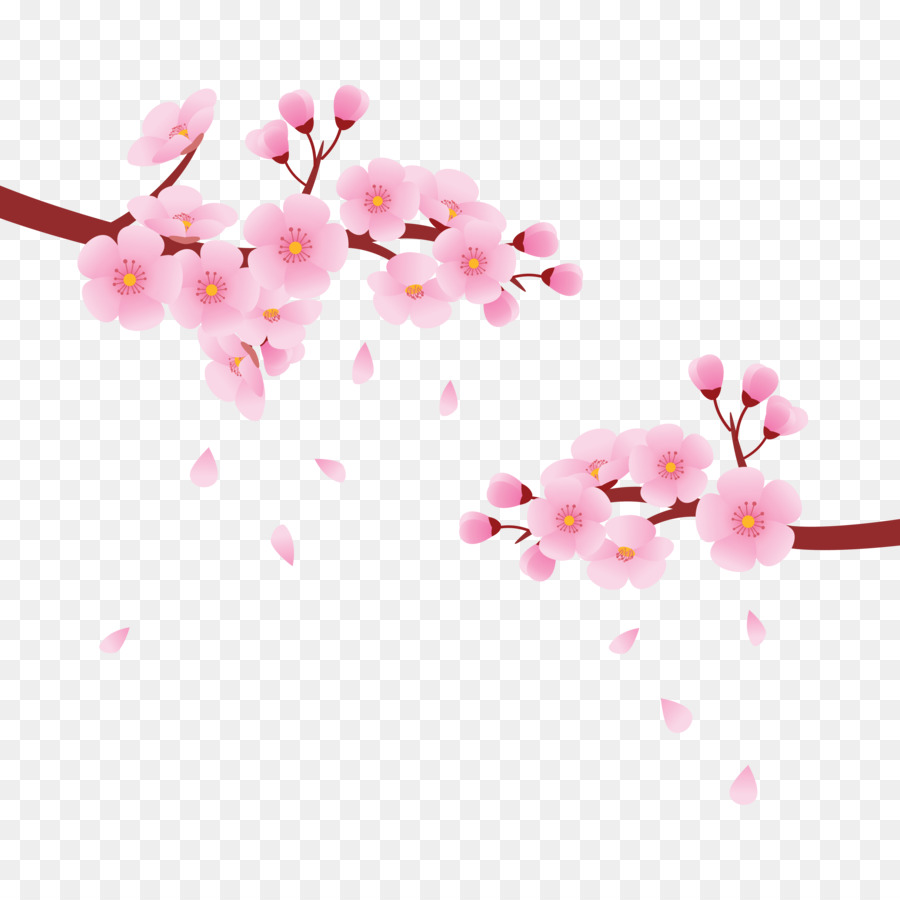 Cherry Blossom Cartoon img