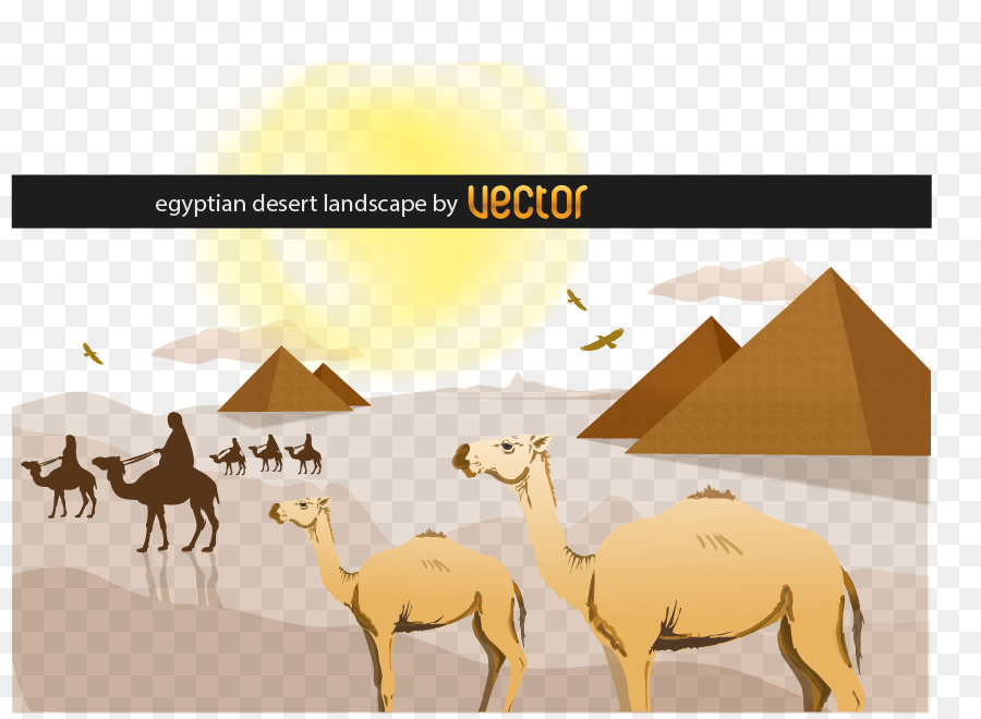 Sahara Livestock