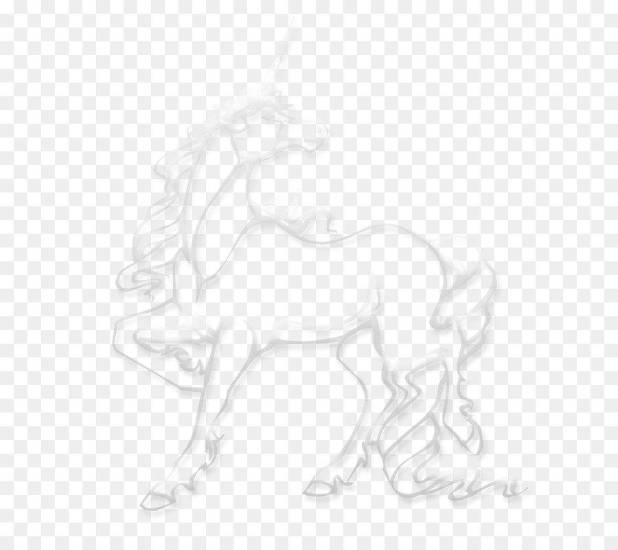 Trắng Đen Mẫu - Vẽ con ngựa trắng