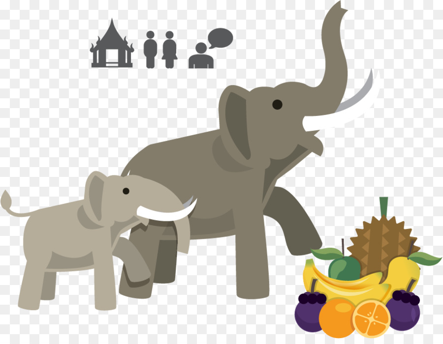 Gli elefanti in Thailandia, l'elefante Africano elefante Indiano - Elephant vettoriale materiale frutti PNG