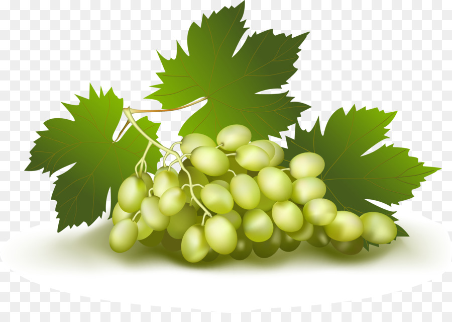 Di Uve Da Vino E Frutta - Astratto modello realistico uva