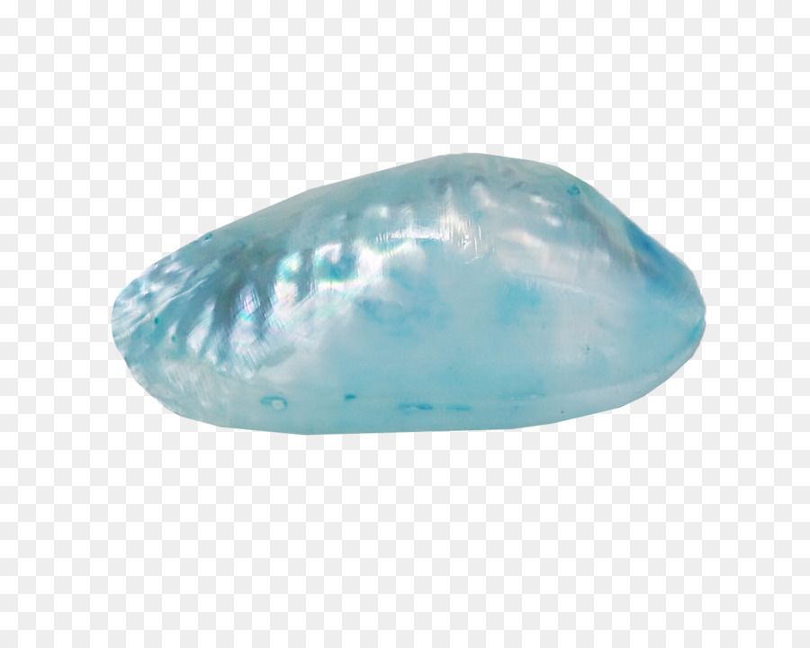 Blau Conch Sea snail - Schöne Blaue Muschel