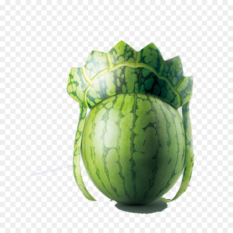 Wassermelone Kreativität Designer Adobe Illustrator - watermelon