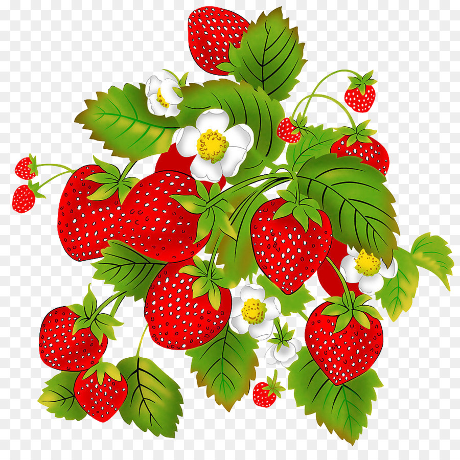 Erdbeere Aedmaasikas Kind Auglis Himbeere - Erdbeere