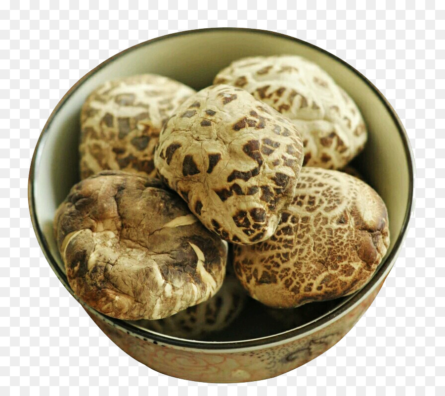 Essbare Pilz-Wirkstoff - Extra großer Pilz Pilze