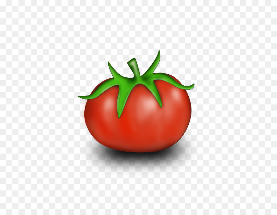 Pflaumen-Tomaten Strauch Tomaten Pflanzen - Cartoon-Tomaten