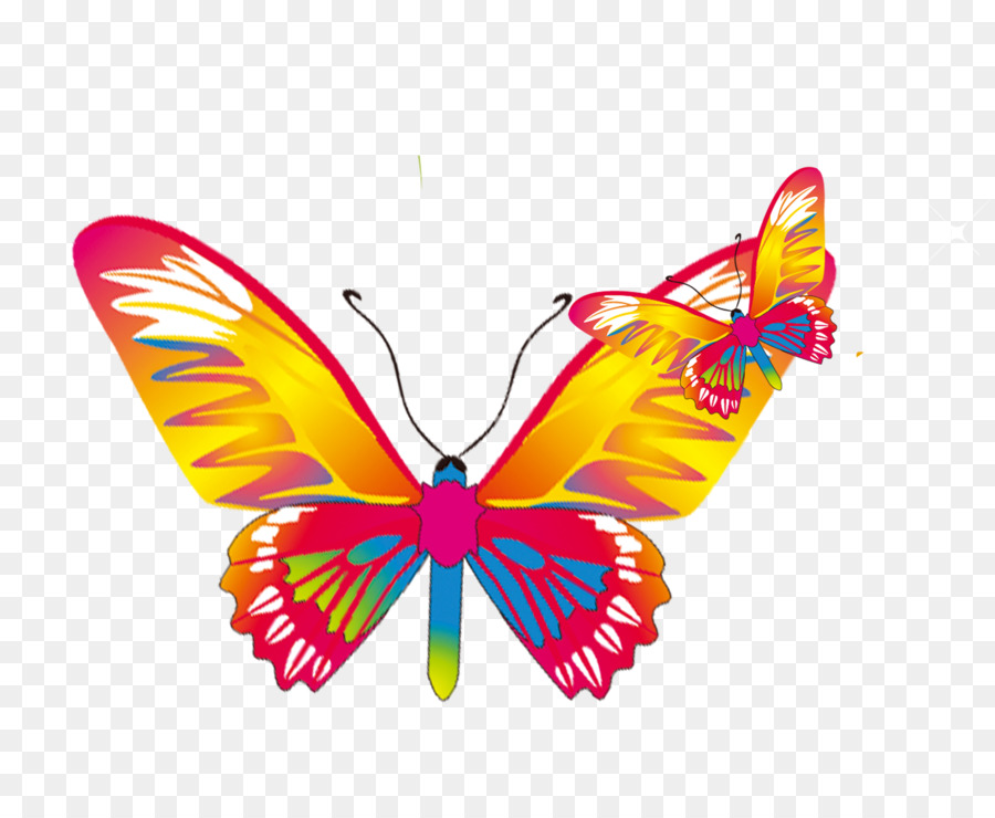 Vua bướm - Hoạt hình hoa vật chất