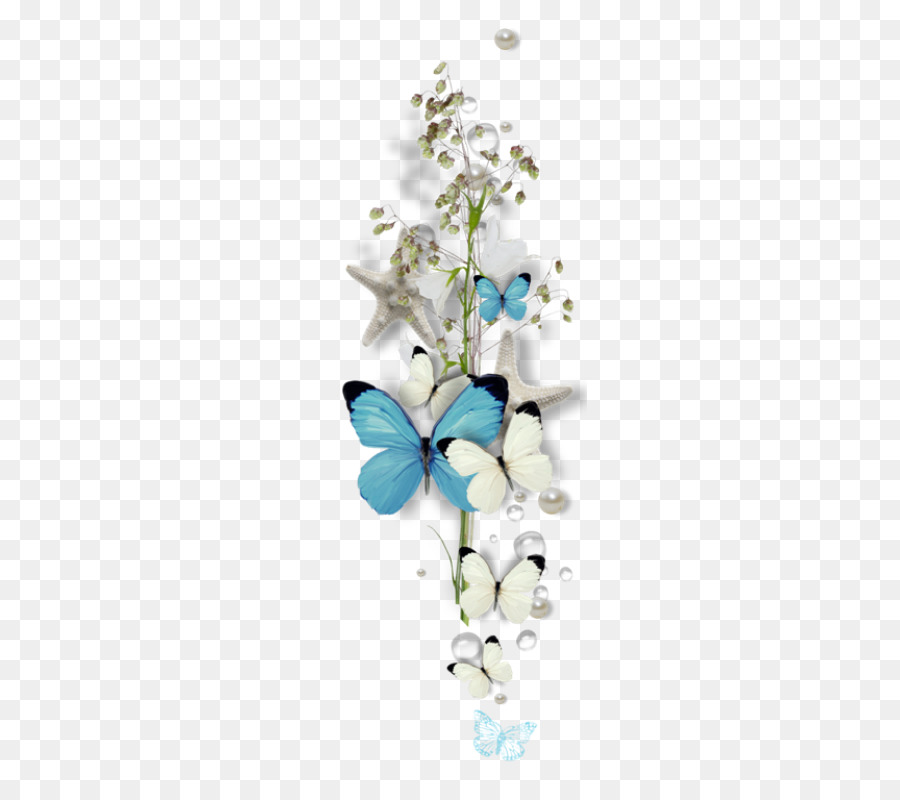 Farfalla Disegno Clip art - schema a farfalla
