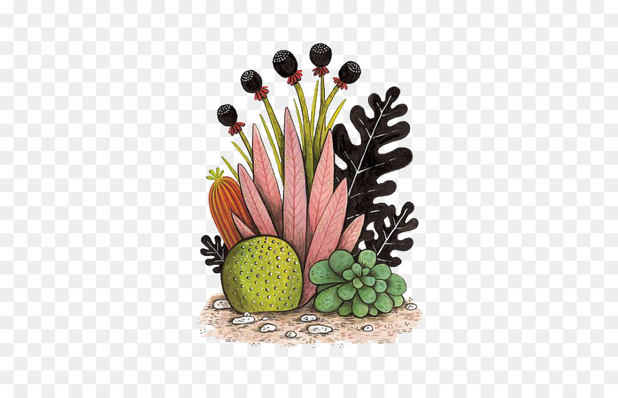 Cactaceae pittura ad Acquerello pianta Succulenta Illustrazione - Multi vaso di carne