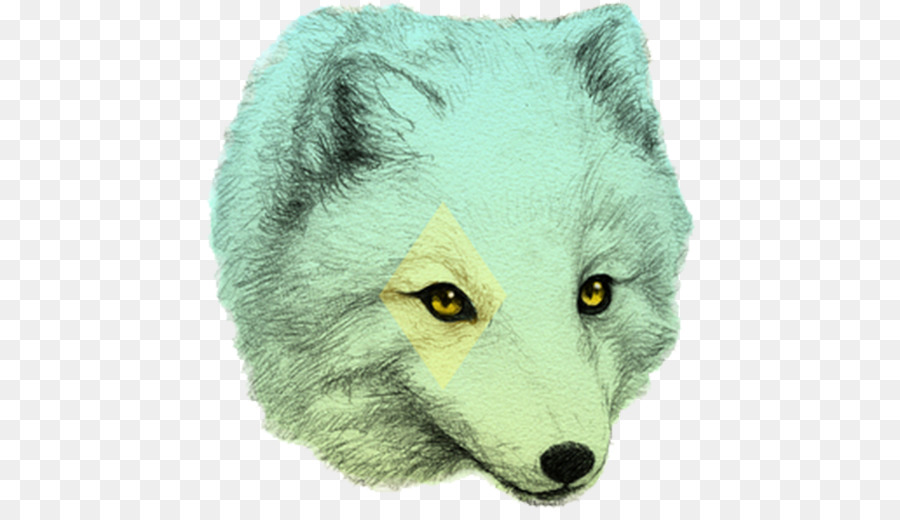 Fox Disegno di illustrazione di Moda Arte Illustrazione - bella fox