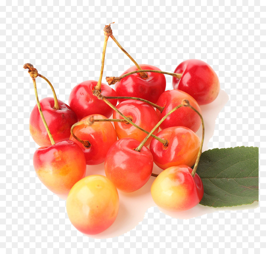 Barbados-Kirsche Süß-Kirsche, Rainier Kirsche Prunus tomentosa - Kirsche