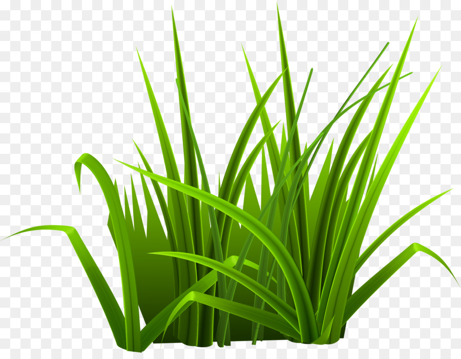 Verde Download - Piccolo fresca erba verde