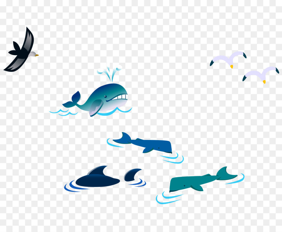 Gabbiani Uccello Cartoon - Colore vector cartoon balena uccello gabbiano