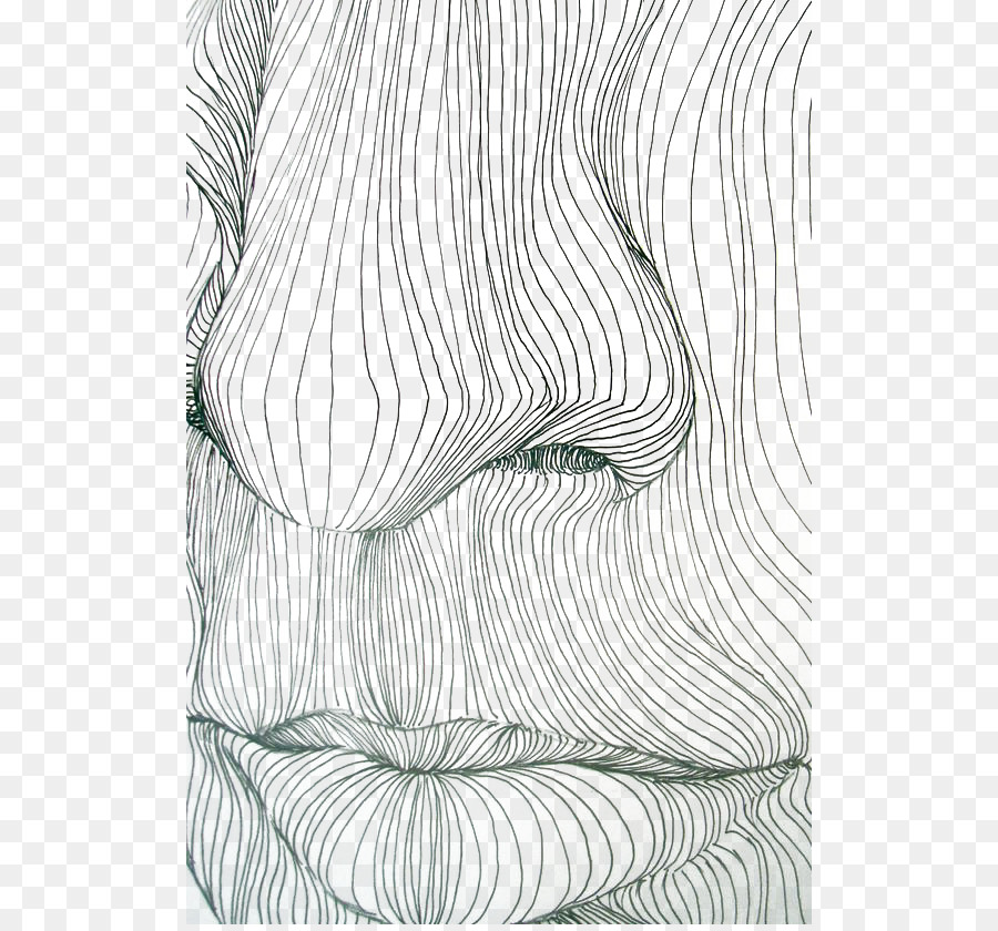 Disegno di contorno Line art, linea di Contorno - Il naso e la bocca linee