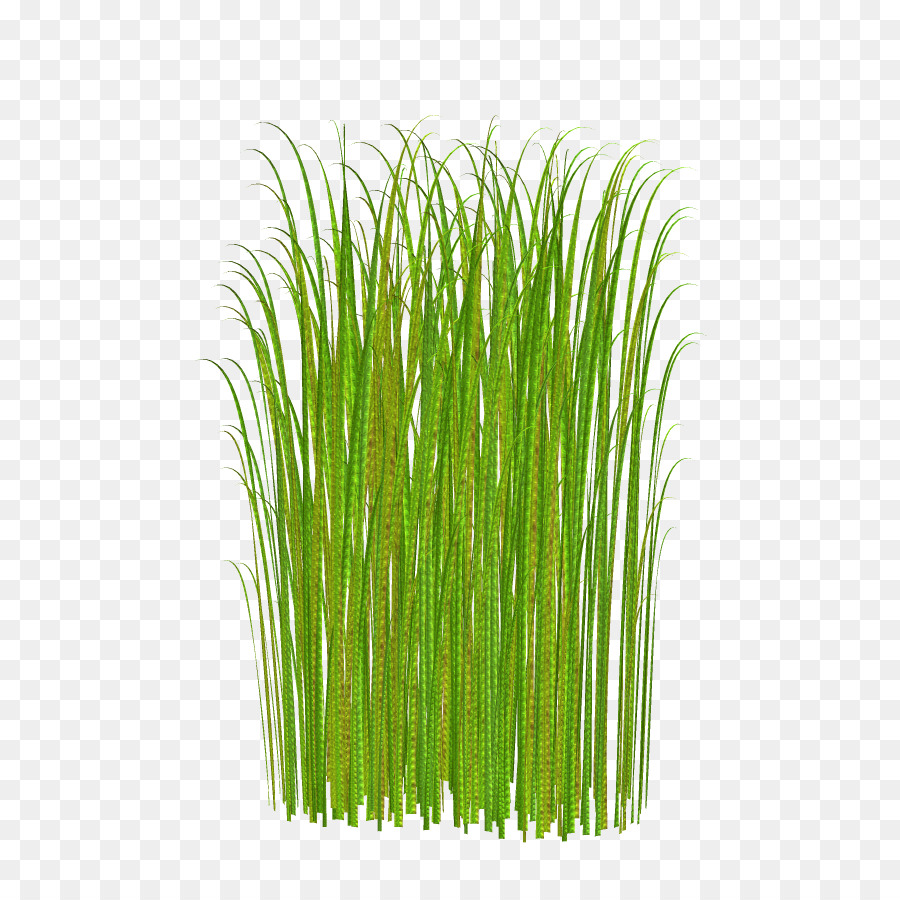 Download Lawn clipart - Green green grass