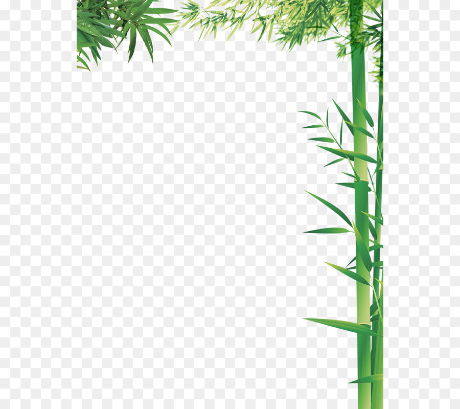 Bambus Spalte Bamboe - Grüne Säule