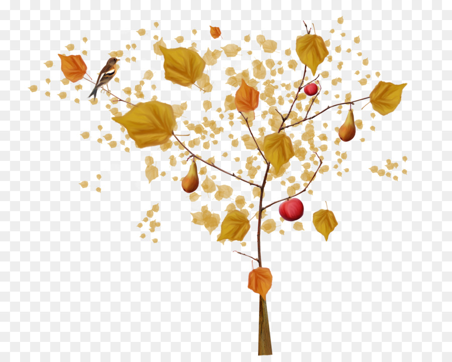 Albero Autunno - albero in autunno