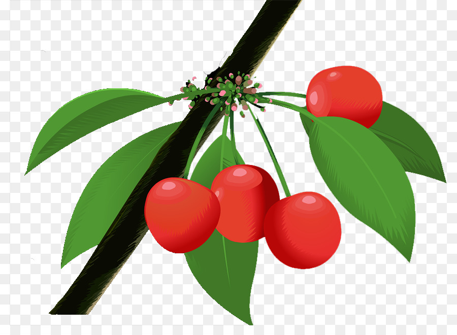 Cherry Berry alimenti Naturali - ciliegia