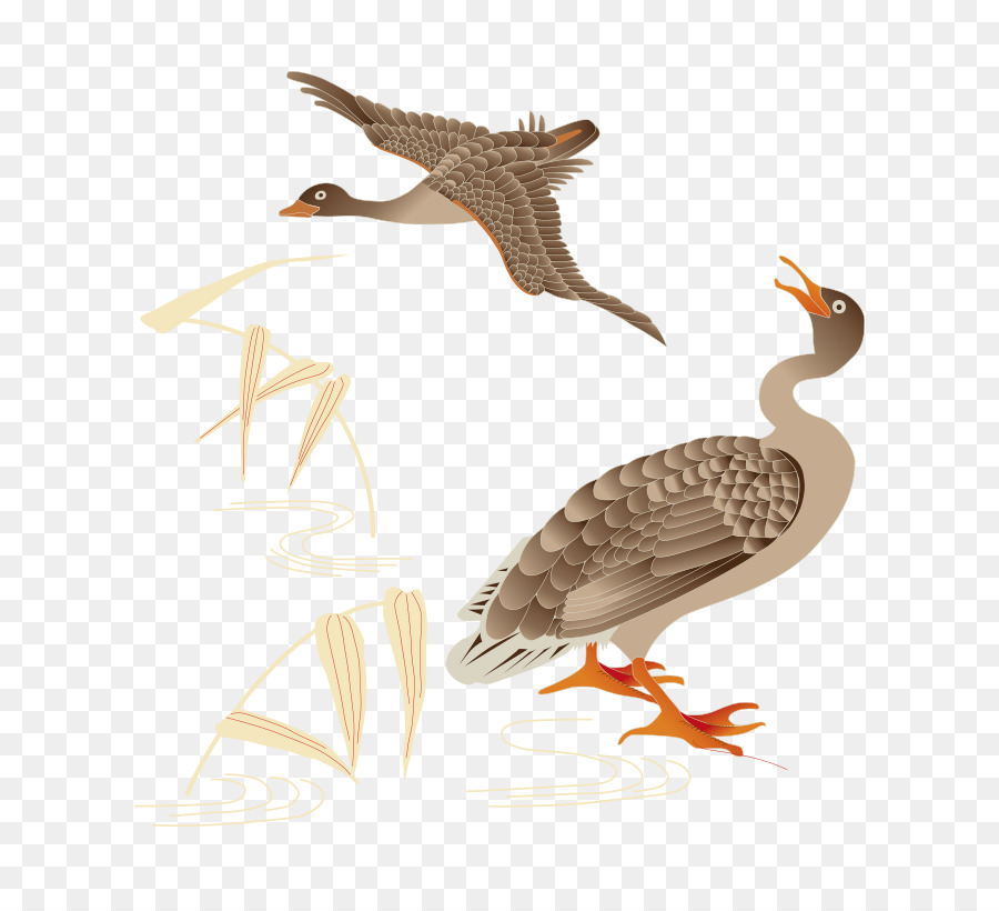 Ente Vogel Stockente Spatz - Cartoon gemalt Wellen Schießen, Fliegen, Vogel