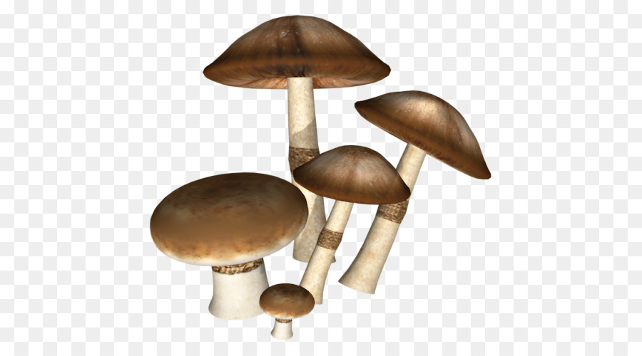 Icona - Scuro funghi