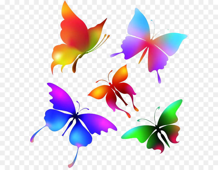 Butterfly and flowers color Royalty Free Vector Image