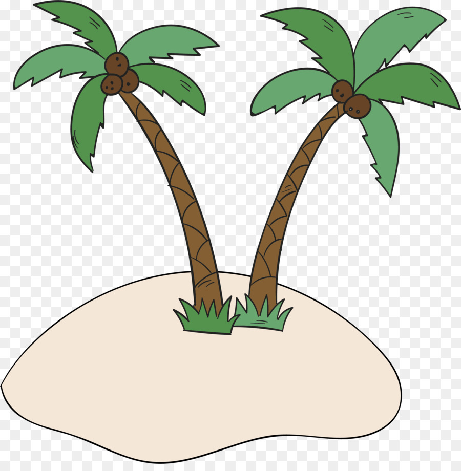 Kokospalme, Arecaceae Strand - Kokospalmen am Strand
