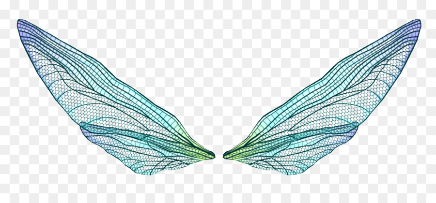 Lông Chim - Vẽ tay lông cánh véc tơ liệu phim hoạt hình vẽ Tay tưởng tượng cánh