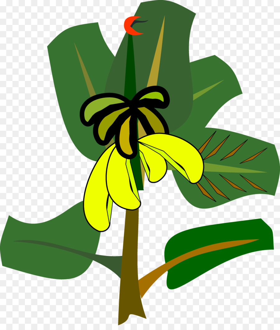 Banana leaf Clip art - Vektor-Banane