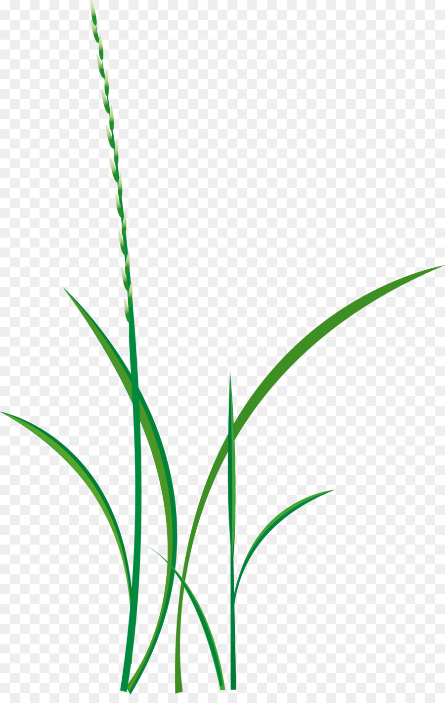 Green Grass Background png download - 2501*3900 - Free Transparent Drawing  png Download. - CleanPNG / KissPNG