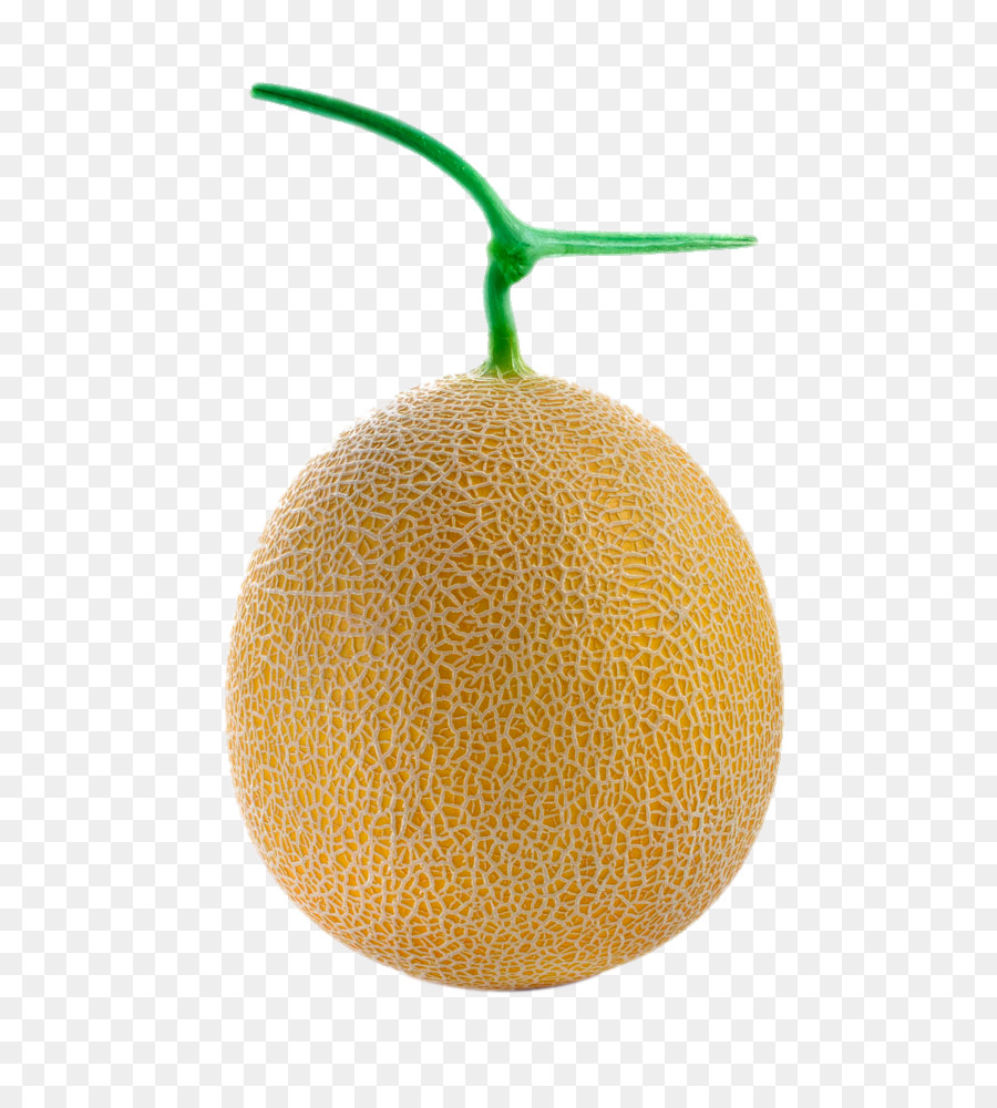 Melone Galia-Melone - süße Melone