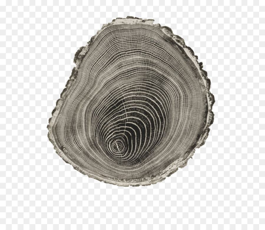 Holzschnitt Druckgrafik Künstler Zeichnung - Baumstumpf