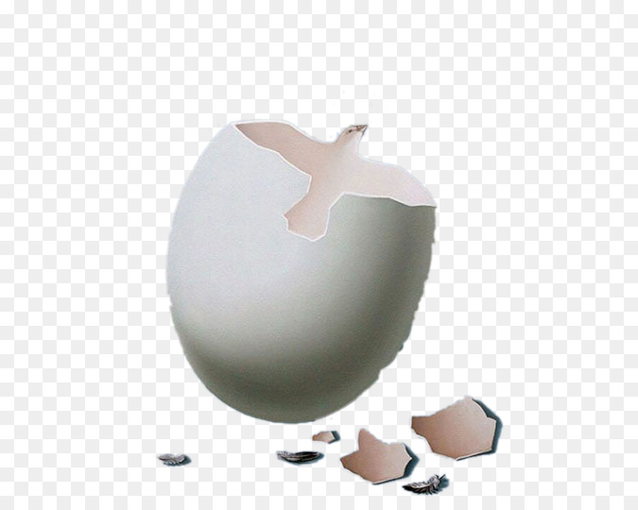 Uovo di gallina Google Immagini - Creativo Illustrazione - colomba e uovo di shell
