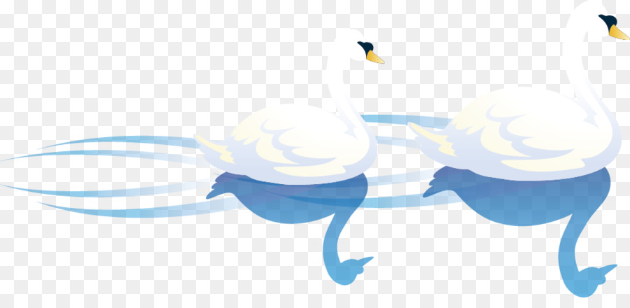 Cygnini Bird Illustration - Vektor White Swan Lake