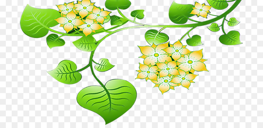 Blatt-Frucht-Illustration - grüne Blätter