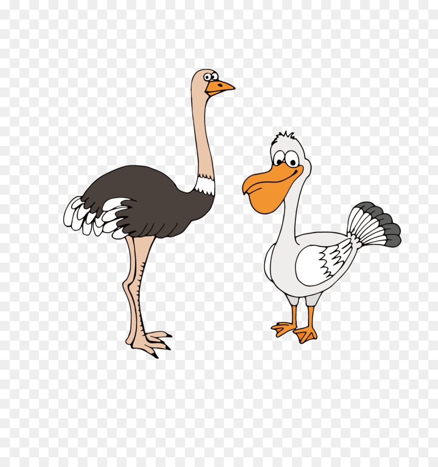 Duck Cartoon png download - 1240*1314 - Free Transparent Common Ostrich png  Download. - CleanPNG / KissPNG