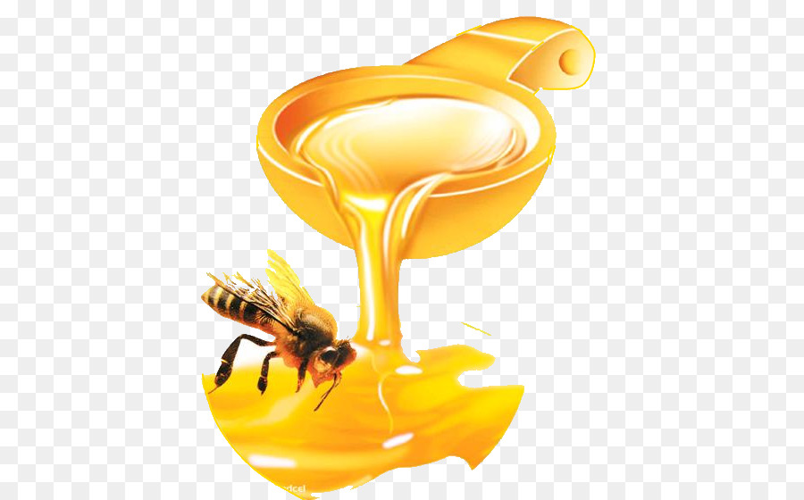 Honey bee Honey bee Frittella Cibo - miele