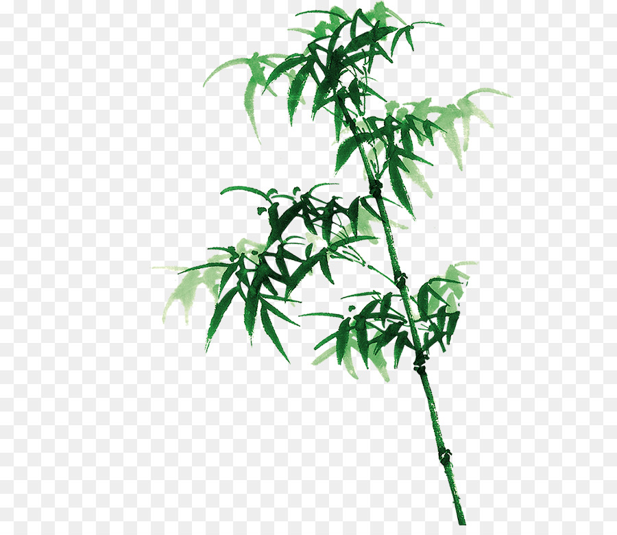 Bambus-Bambusa oldhamii Tinte wash Malerei - Bambus
