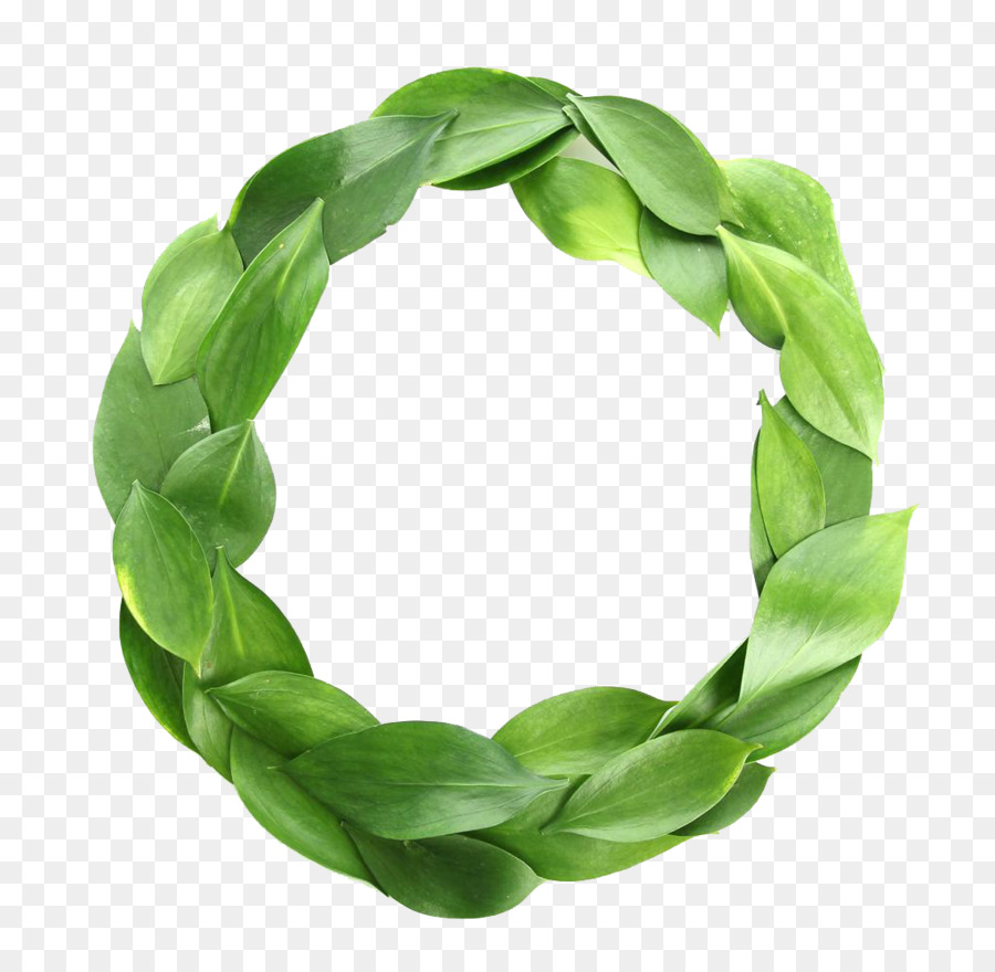 Foglia Verde Cerchio Deloitte Business - Di foglie di Aloe,verde