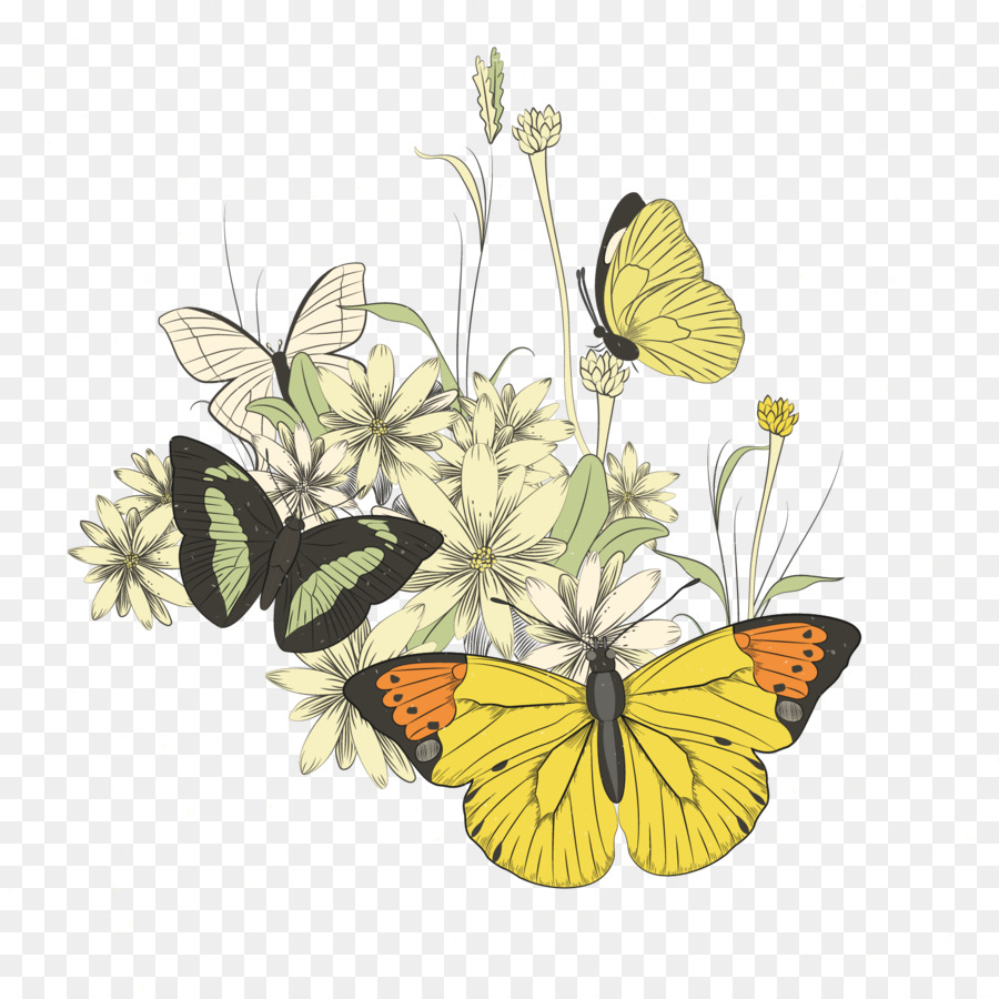 Monarca, farfalla, Illustrazione - farfalla